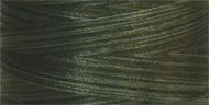 Fan/Scrub Oak