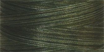 Fan/Scrub Oak